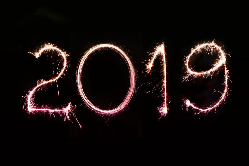 Motus 2019 year in review