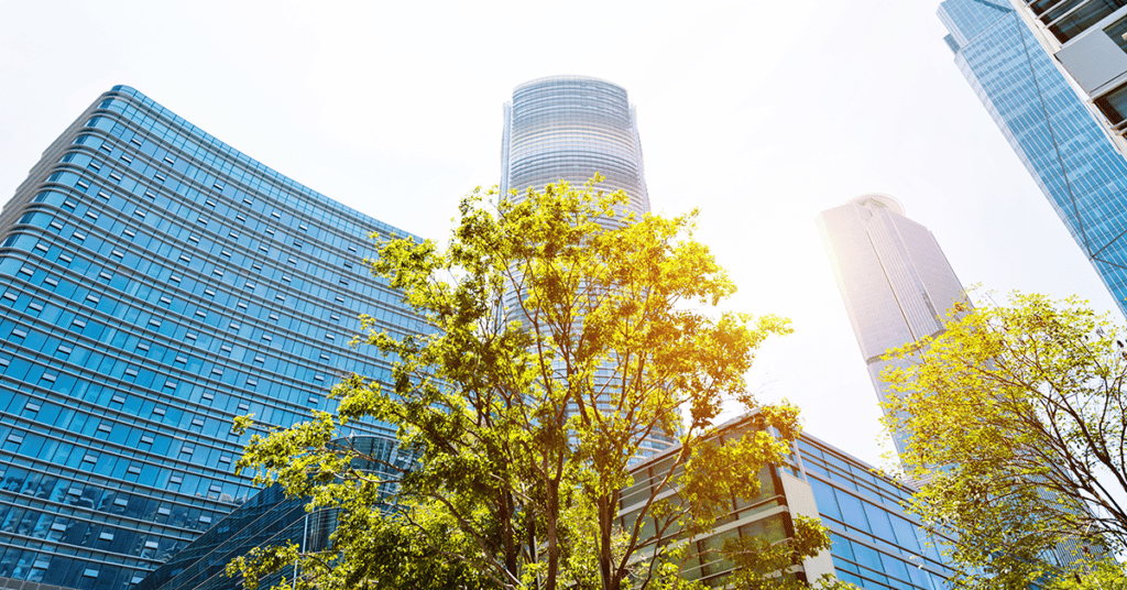 green tree before modern buildings evoking Corporate Sustainability Program